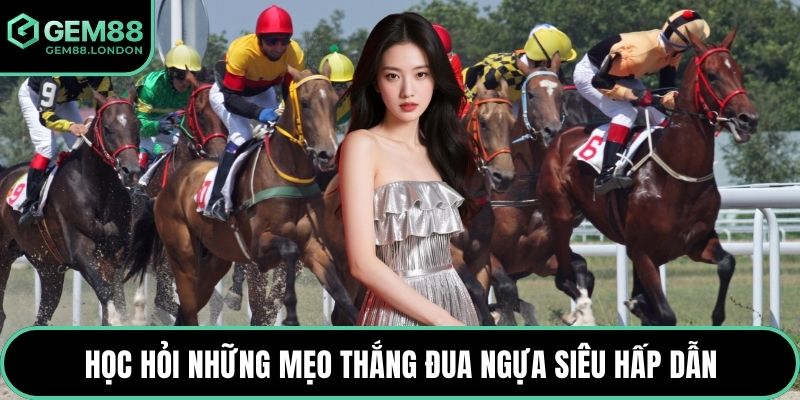 Học hỏi những mẹo thắng đua ngựa siêu hấp dẫn