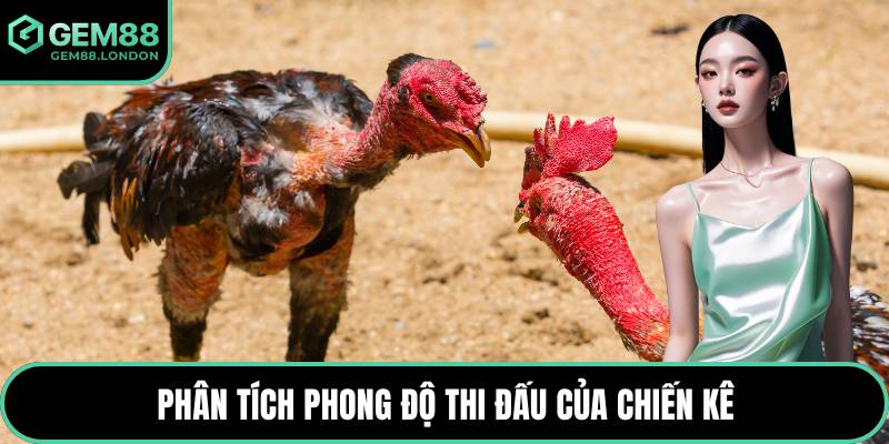 Phân tích phong độ thi đấu của chiến kê
