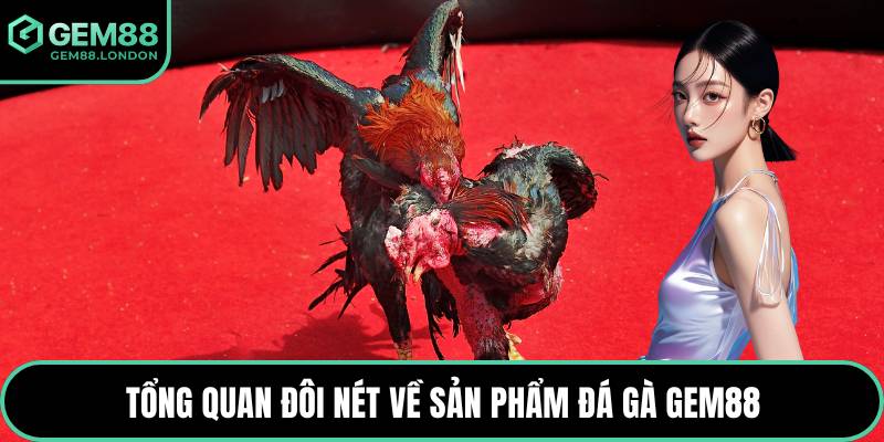 Tổng quan đôi nét về sản phẩm đá gà GEM88